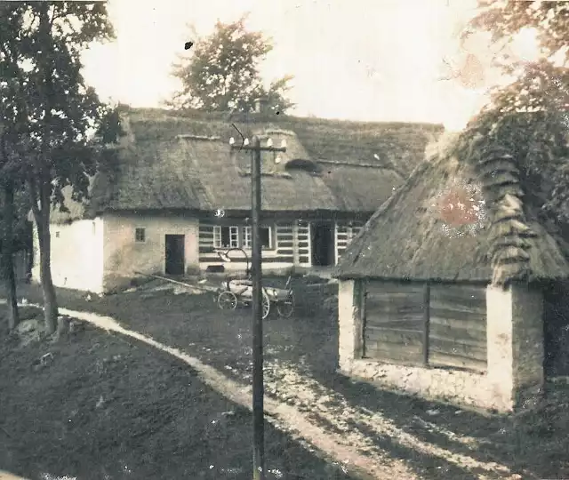 Chałupa drewniana dwuizbowa przy ul. Zielony Most. Lata 50. XX wieku