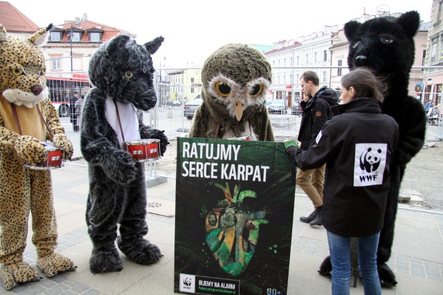 „Ratujmy Serce Karpat”, akcja ekologiczna, której celem jest nagłośnienie sprawy ochrony tego obszaru. W poniedziałek zawitała do Lublina
