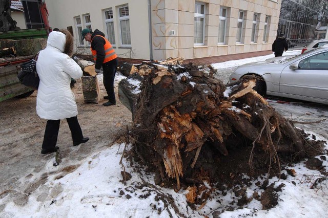 Drzewo przewróciło się na SOR w Koszalinie, uszkodziło dach, rynny. Do tego drzewo przewróciło się na ul. Chałubińskiego koło szpitala. Przejazd jest zablokowany. 