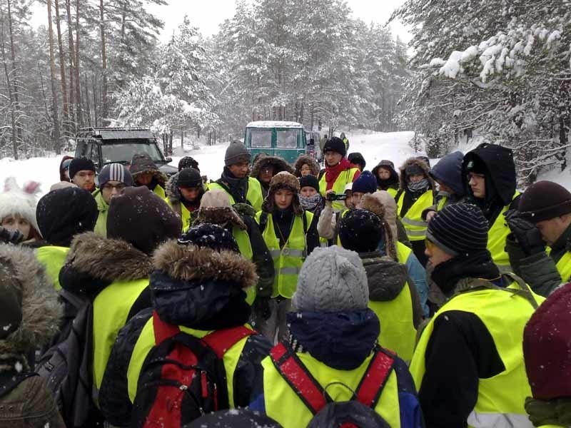 Łosi szukało 50 studentów