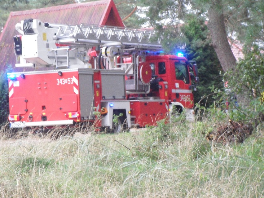 W Rowach strażacy usuwali drzewo, które wichura przewróciła na domek letniskowy