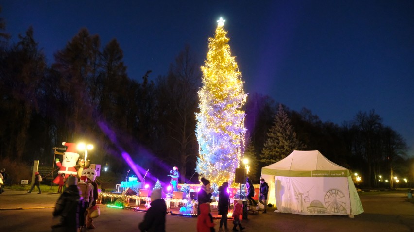 Kilkunastometrowa choinka w świątecznej iluminacji w Parku...