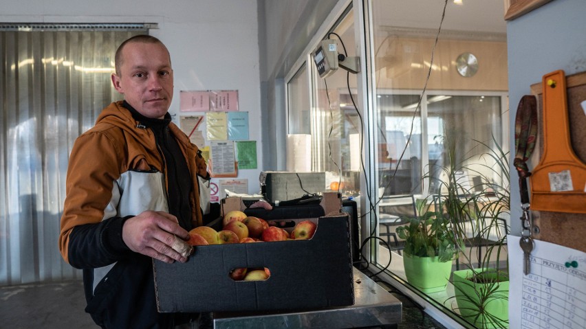 Kupuj lokalnie - hurtownia warzyw i owoców Aga w Opolu. Kapusta i kalafior też czasem mają kwarantannę
