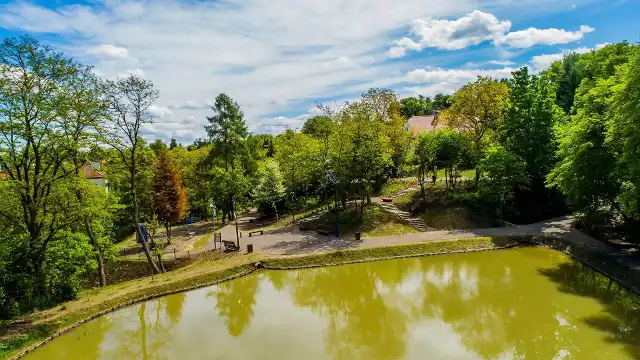 Prace związane z tworzeniem miejskiego parku na Stoku pod Barnem w Wieliczce trwały od 2018 roku. Nowa wielicka enklawa zieleni jest ogromna, ma ponad 13 ha. Projekt pochłonął ponad 6,6 mln zł