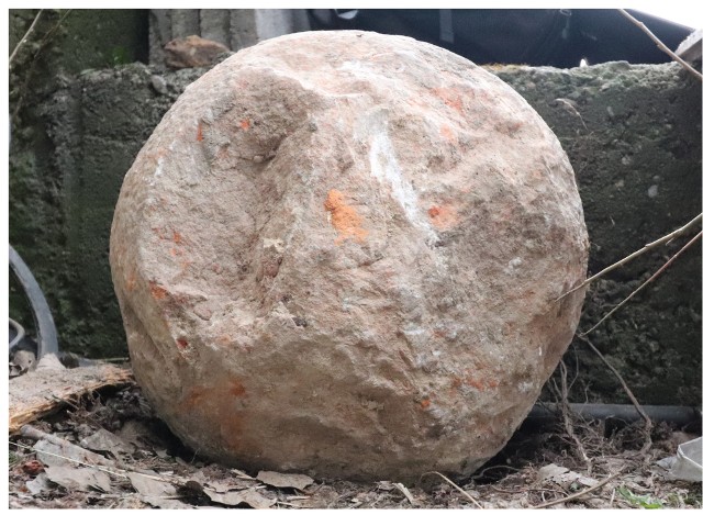 Kamienna krzyżacka kula znaleziona w fundamentach po starej inowrocławskiej kamienicy