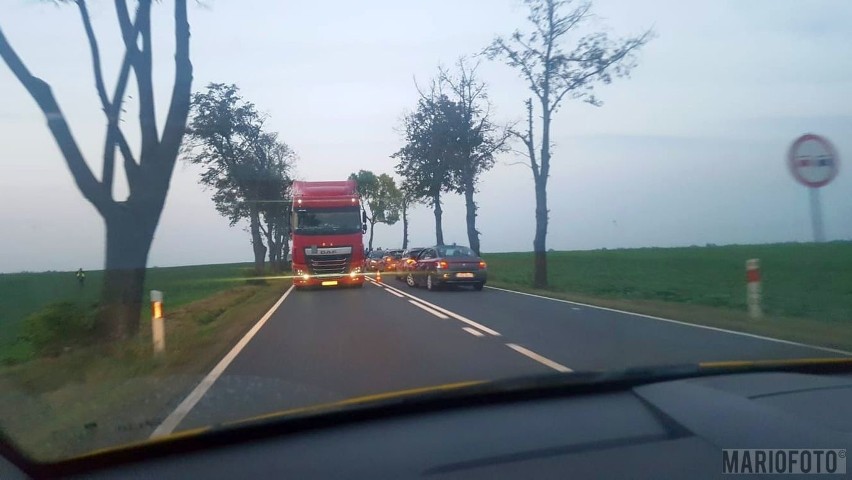 Porwanie dziecka w Wieluniu. Akcja policji na Opolszczyźnie