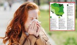 Sezon alergiczny w Polsce. Sprawdź, kiedy pylą najbardziej alergizujące rośliny oraz jak radzić sobie z objawami alergii 
