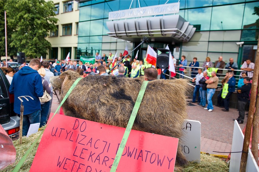 Rolnicy rozpoczęli protest w Białymstoku. Przywieźli ze sobą...