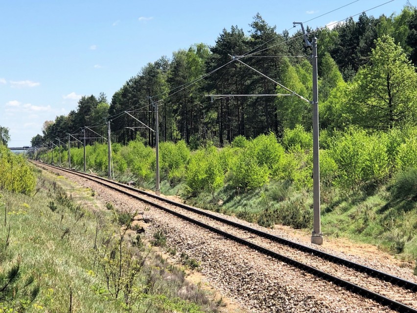 Na linii kolejowej numer 22 z Radomia do Radzic wymieniana jest sieć trakcyjna 