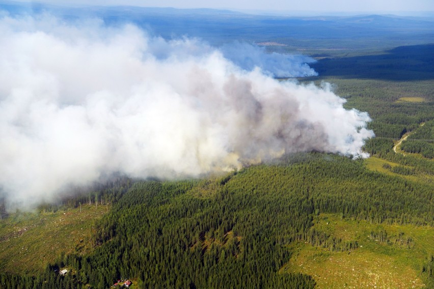 Szwecja: Pożary lasów. Polscy strażacy entuzjastycznie witani w Szwecji, rycerze św. Floriana ruszyli na ratunek [ZDJĘCIA] [WIDEO]