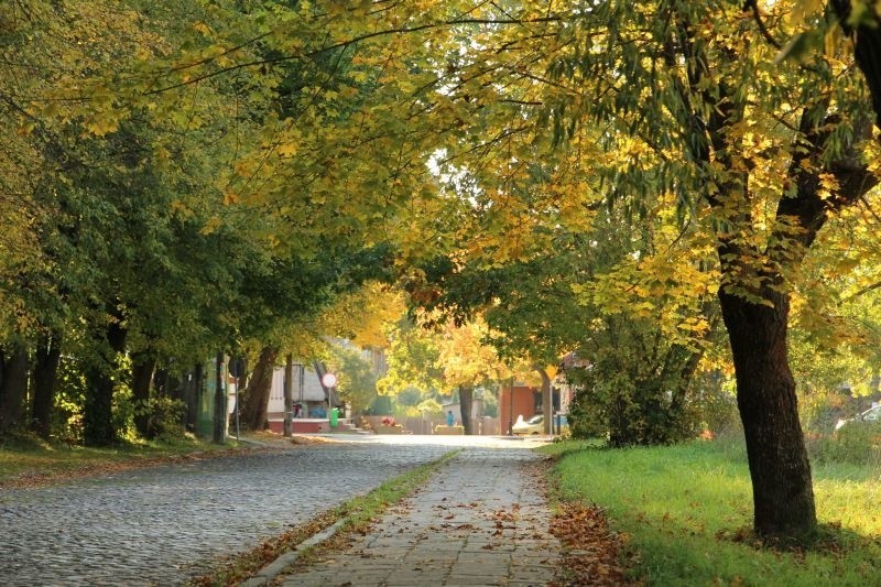 Ulica Plac Tadeusza Kościuszki. Gruntowna przebudowa całkowicie odmieni ulicę (wideo, zdjęcia)