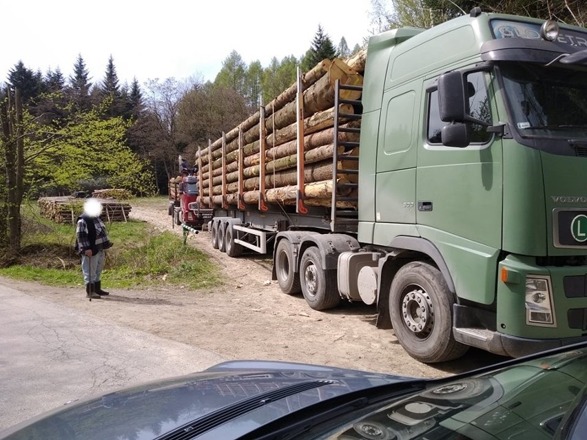 Ciężkie zestawy samochodowe do przewozu dłużycy niszczą...