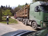 Nadleśnictwo sprzedaje drewno. Legalnie wywożą je przedsiębiorcy, a drogi cierpią [ZDJĘCIA]