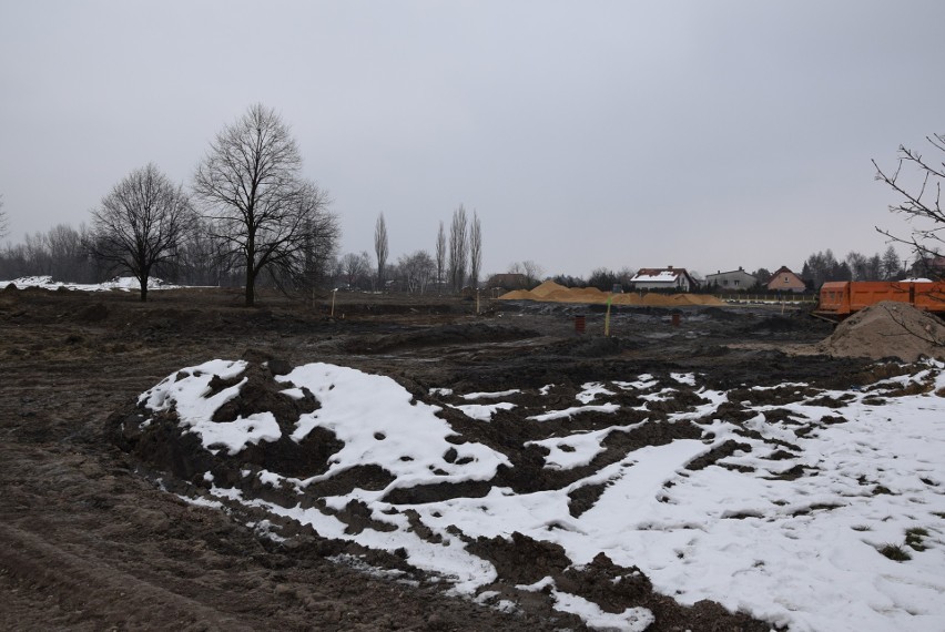 Oświęcim. Na Kamieńcu wycięto piękne drzewa. Tak powstaje Park Pojednania Narodów [ZDJĘCIA, WIZUALIZACJA]