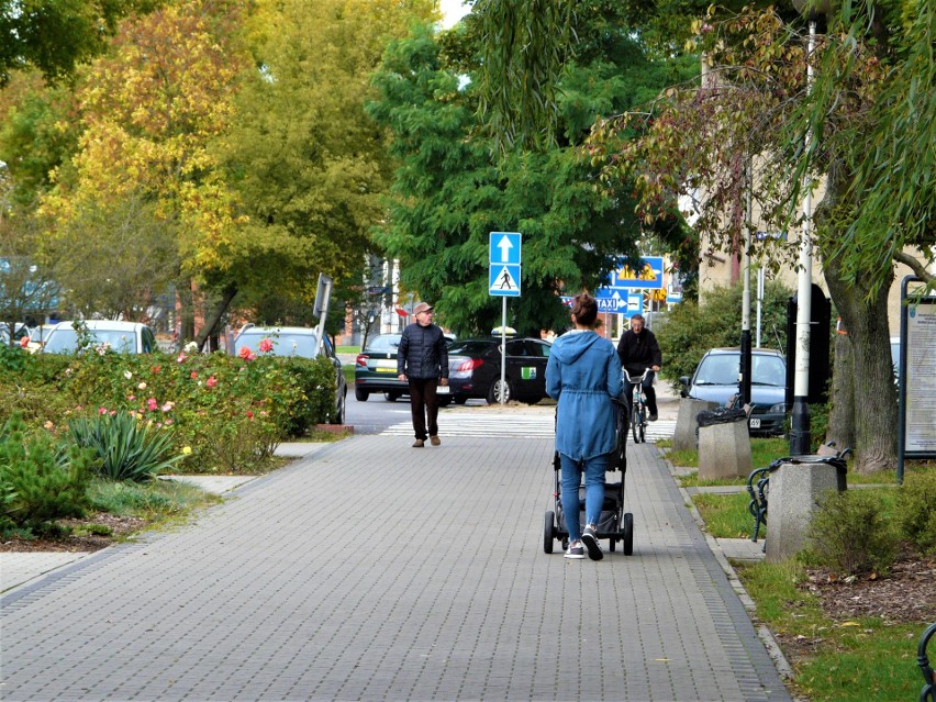 Pierwsze dni jesieni w Pabianicach. Drzewa zmieniają barwy ZDJĘCIA