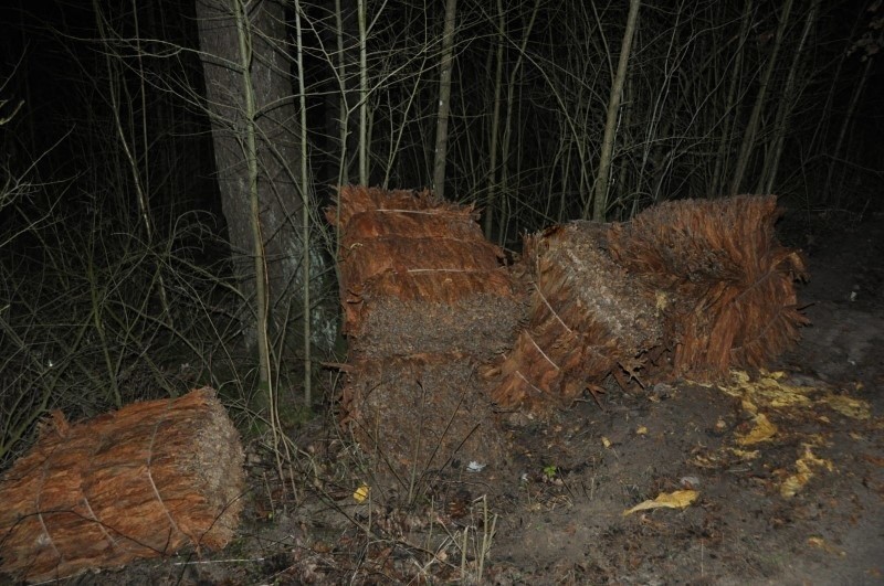 Giżycko. Straż Graniczna w pościgu za przemytnikami [zdjęcia, wideo]