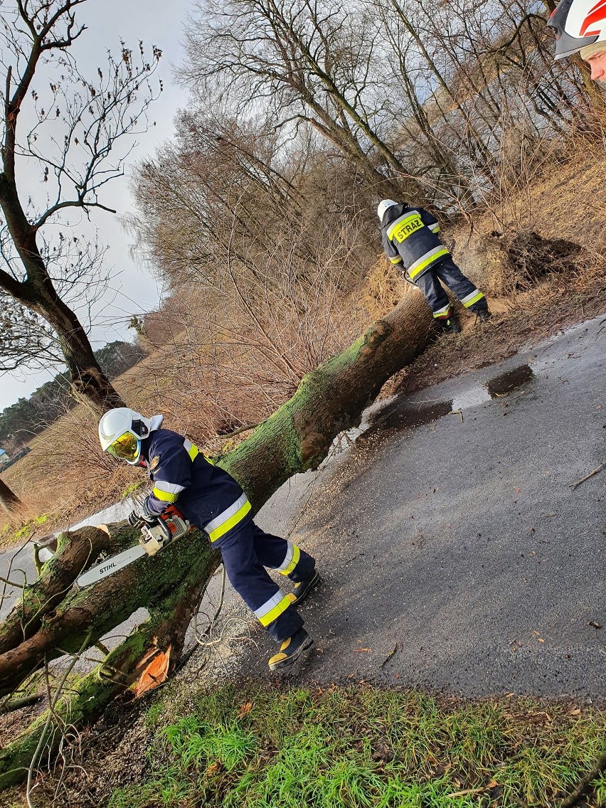 Jak informuje nas kpt. Jarosław Skotnicki z KP PSP...