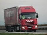 Mayer Transport i P.K. Express w sieci Pall-Ex Polska