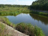 Poprzemysłowe stawy osadowe w Stalowej Woli zostaną zlikwidowane 