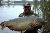 Karp ważył 37,8 kg! To nowy rekord Polski [Zdjęcia] - wędkarstwo