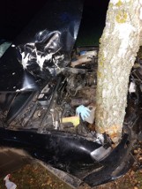 W Gołotach pod Unisławiem samochód zatrzymał się na drzewie. Zdjęcia