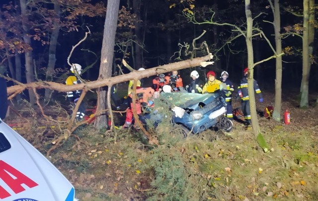 W nocy z niedzieli na poniedziałek w miejscowości Mieczewo koło Kórnika doszło do tragicznego wypadku. Samochód, którym jechało trzech 18-latków, uderzył w drzewo. Kierowca i jeden z pasażerów zginęli na miejscu. Drugi z pasażerów trafił do szpitala. Zobacz więcej zdjęć ---->
