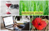 Szkolenie dla rolników - jak wypełniać wnioski o dopłaty 2018 przez internet [online, instrukcja]