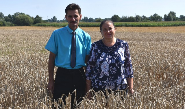 Elżbieta Szabla i Jarosław Szumilas pełnić będą honory starostów opatowieckich Dożynek Gminnych 2019 - 15 sierpnia w Rogowie.