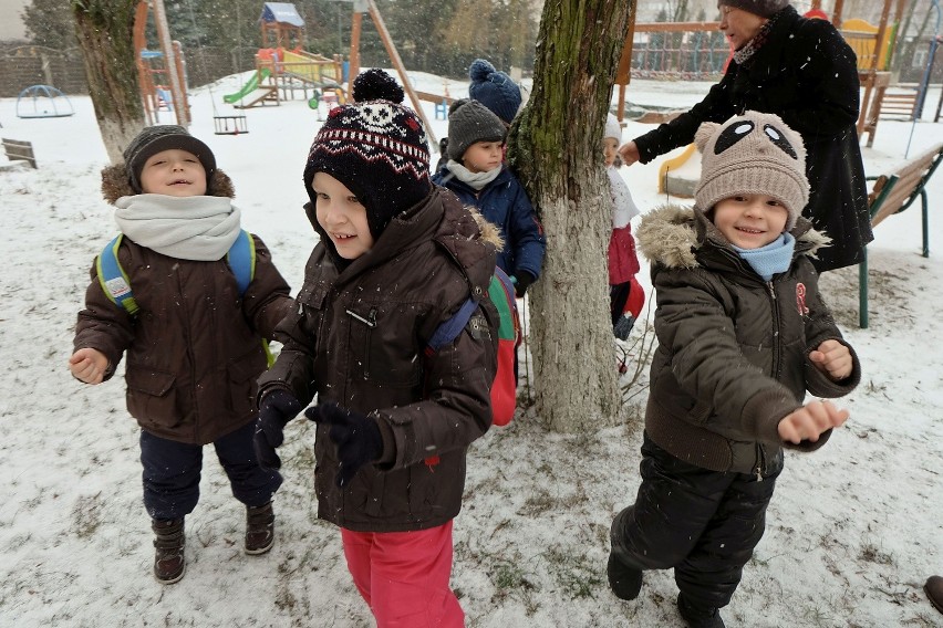 Przedszkole nr 2 w Łapach. Przedszkolaki mają zajęcia w lesie (zdjęcia)