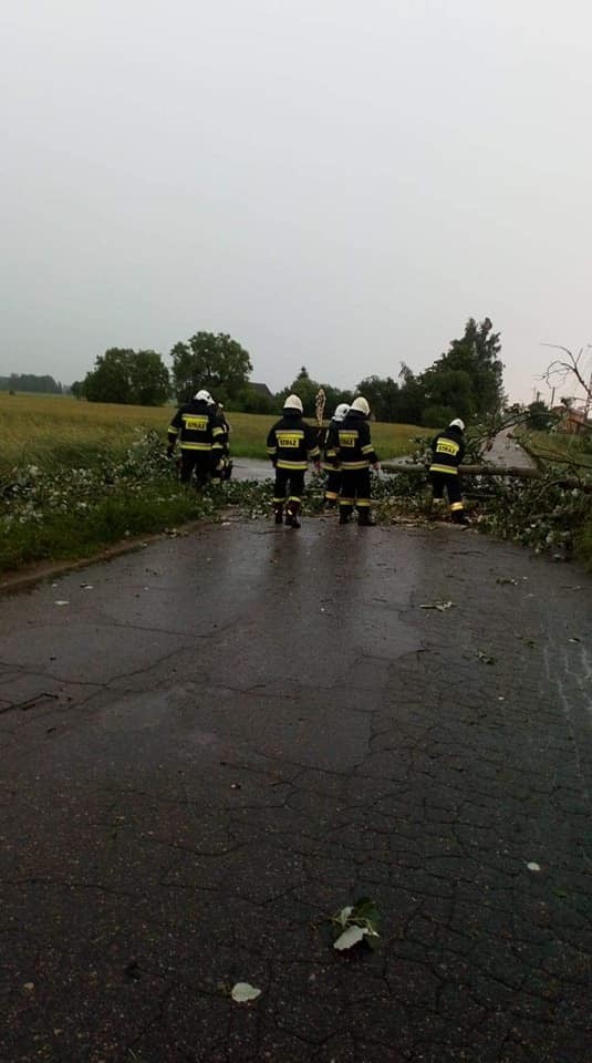 Burza w powiecie ostrowskim, 17.06.2020. Strażacy usuwali drzewa powalone na drogi. Zdjęcia