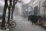 Powrót zimy w Bełchatowie i regionie. Spadł śnieg, są też przymrozki