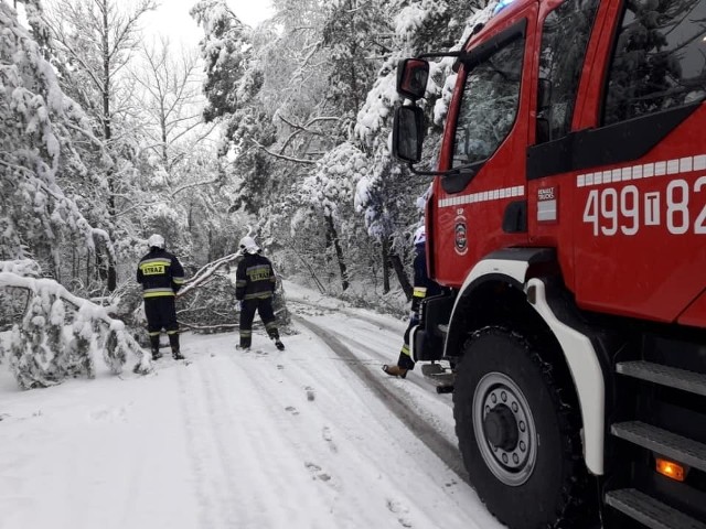 Druhowie z Ochotniczej Straży Pożarnej Starachowice osiedle Michałów w sobotni poranek usuwali powalone drzewa w Adamowie i Stykowie.