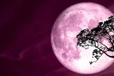 Różowy księżyc! Dziś będzie można go zobaczyć na koszalińskim niebie!