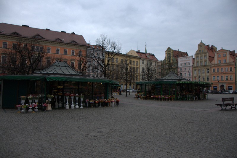 Wazony na Solnym w jednym kolorze? Kwiaciarki: Niech urzędnicy znajdą pomysł na ożywienie placu!