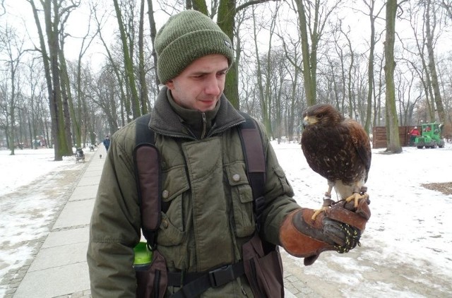 Sokolnicy z drapieżnymi ptakami wrócili do Leśniczówki i parku Kościuszki w Radomiu.