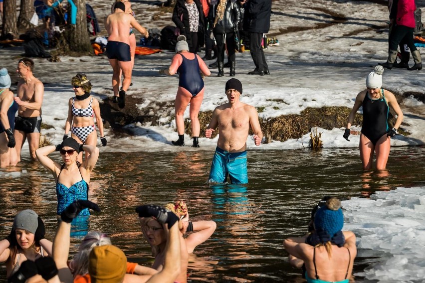 "Morsy w Koronie" w Pieckach. Dobra zabawa i kolejna zimowa kąpiel w jeziorze [zdjęcia]