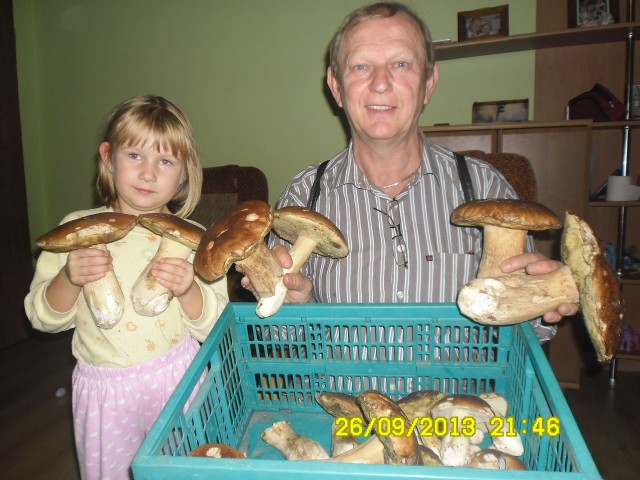 Takie grzyby znalazł w Kolsku pan Marek Dowgun.