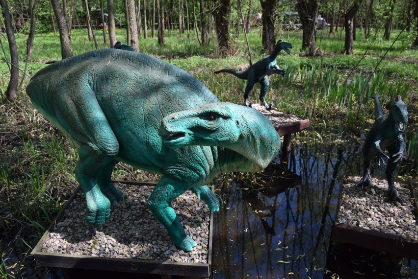 Z zimowego snu obudziły się dinozaury w Zatorlandzie. Dołączył do nich największy jaki żył i jaki wybudowano na świecie [ZDJĘCIA, WIDEO] 