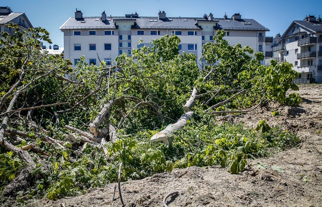 Wycinka drzew przy ul. Myśliwskiej w Gdańsku