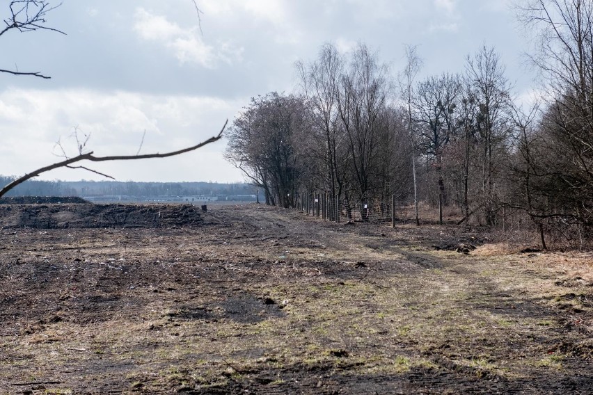 Stowarzyszenie Wolna Wola wysłało pytania do zarządu portu...