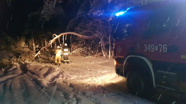 W piątek strażacy z Torunia i okolic przeprowadzili 30 interwencji. Usuwali znajdujące się przy drogach drzewa i konary, które połamały się pod ciężarem śniegu. W sobotę, chociaż śnieg już nie sypał, nadal mieli pełne ręce roboty.  W przyszłym tygodniu zima rozgości się u nas na dobre.