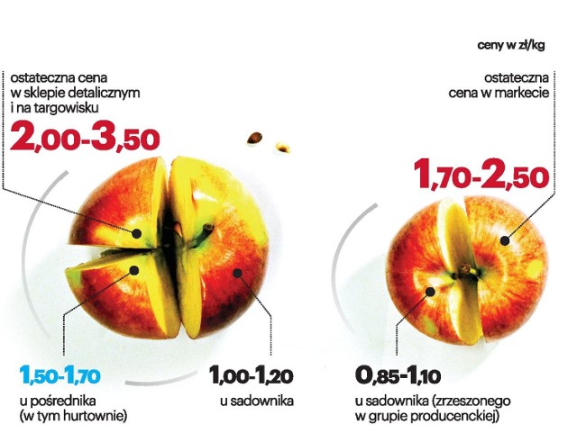 Zanim jabłko trafi do sklepu albo na stragan, niekiedy trafi najpierw do 3-4 pośredników.