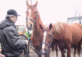 Skaryszewskie Wstępy w tym roku odbędą się zupełnie w innej formie. Wszystko przez epidemię koronawirusa