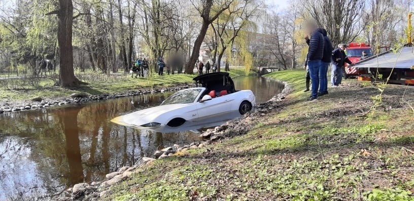 W sobotnie popołudnie do niecodziennego zdarzenia doszło w...