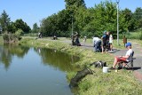 Dziecięce zawody wędkarskie w Mircu. Wspaniała przygoda i doskonała zabawa. Zobacz zdjęcia 