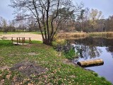 Wojsko chce odkupić teren w Parku Trendla w Słupsku. Co z kąpielami i spacerami?