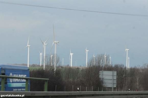 Wzorem dla "wiatraków” w Ostrzycach są podobne inwestycje działające już w Niemczech  (fot. Mariusz Kapała)