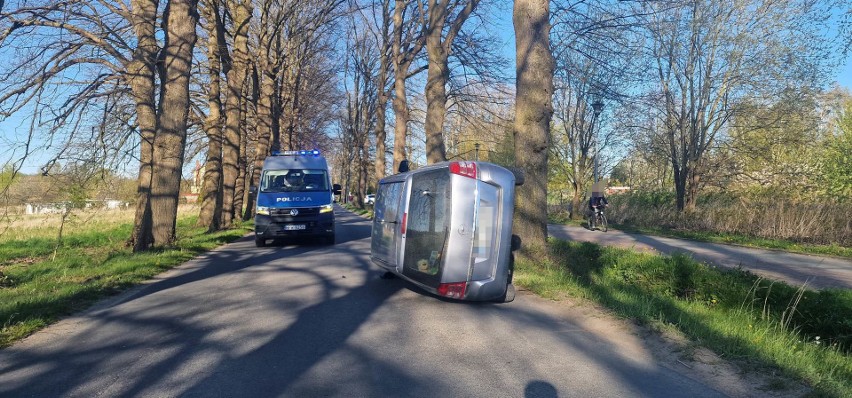 Samochód osobowy uderzył w drzewo w Mielnie. Kierowca był pijany [ZDJĘCIA]