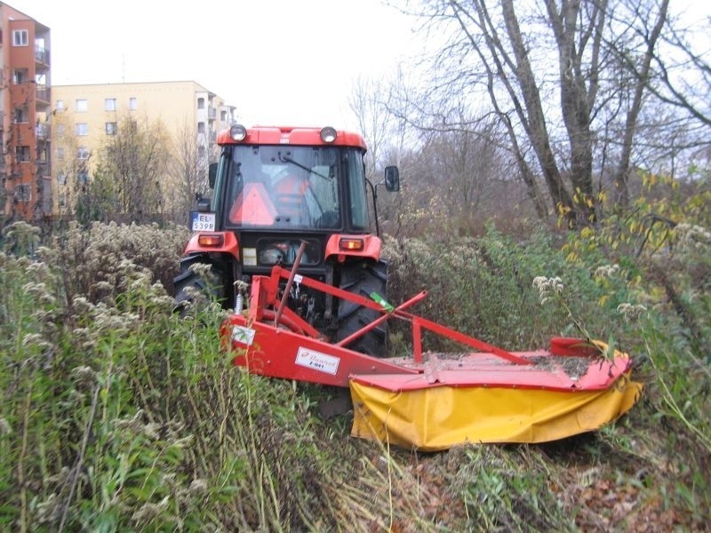 Uprzątnęli psi park! Po publikacji w „Expressie”