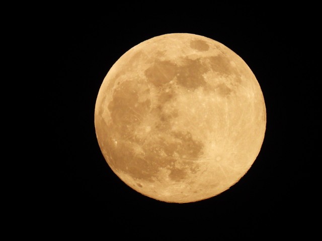 Pełnia Różowego Księżyca na zdjęciach Internautów Zobacz kolejne zdjęcia. Przesuwaj zdjęcia w prawo - naciśnij strzałkę lub przycisk NASTĘPNE